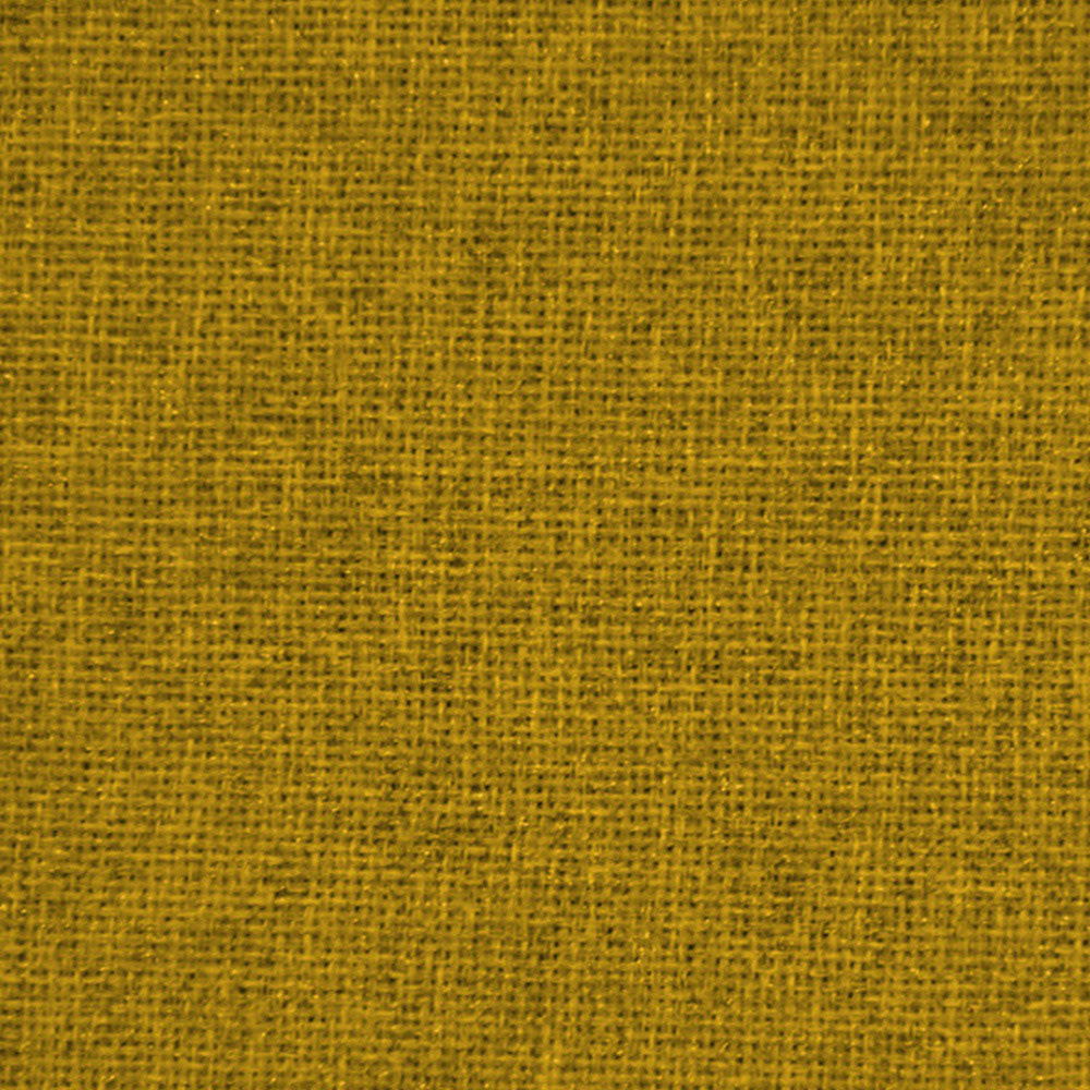 Character design，Storage card，mascot，