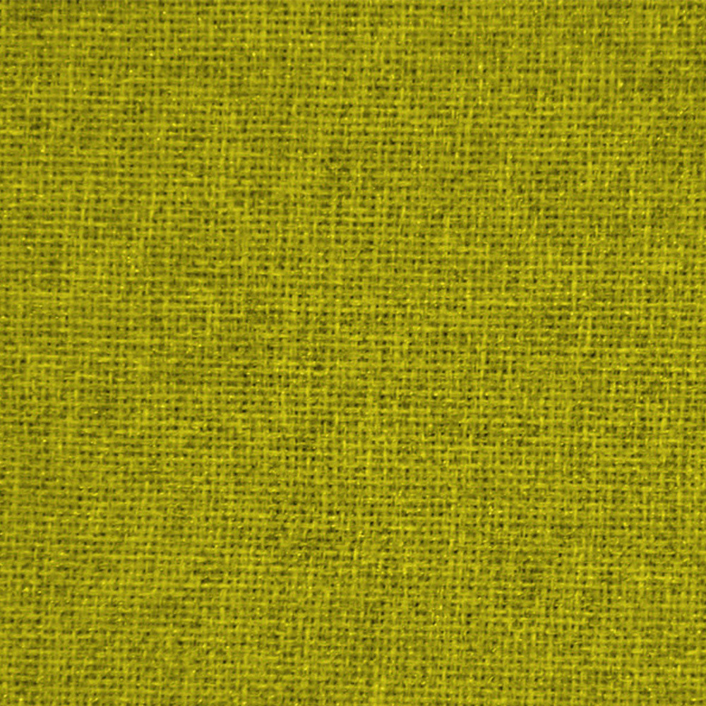 Character design，Storage card，mascot，