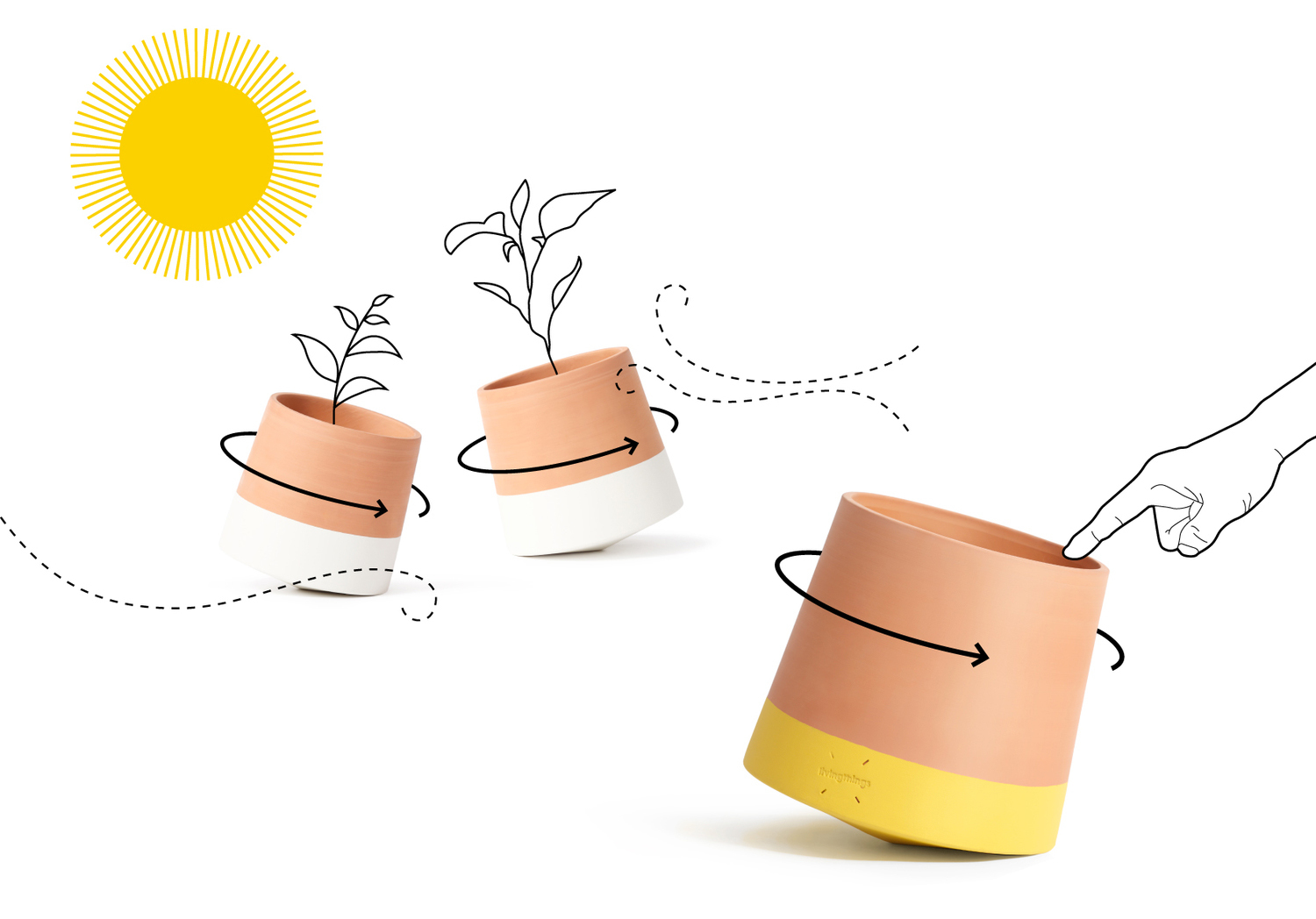 to beam，rotate，Conical bottom，Potted plants，