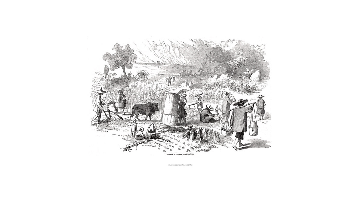 Ergonomics，tool，environment protection，Yoo Island，