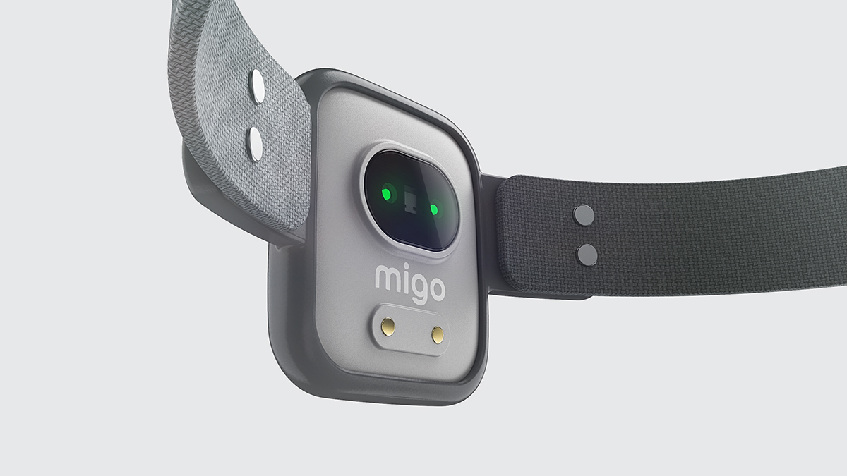 Pets，Internet of things，intelligence，migo，