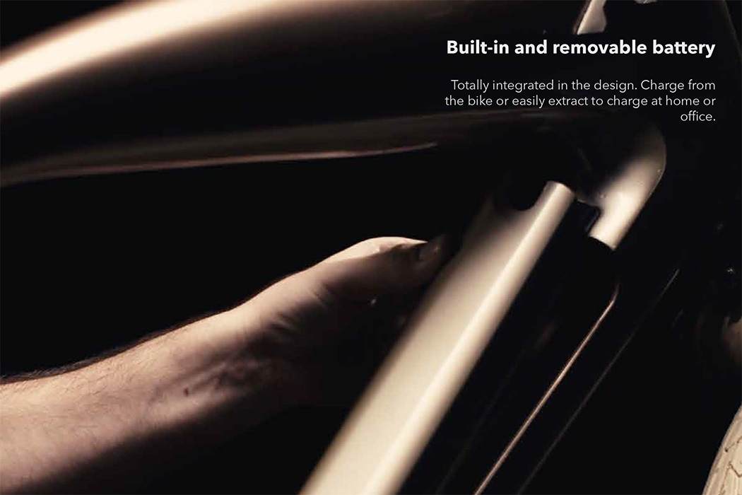 Integrated computer，Electric bicycle，Face recognition，