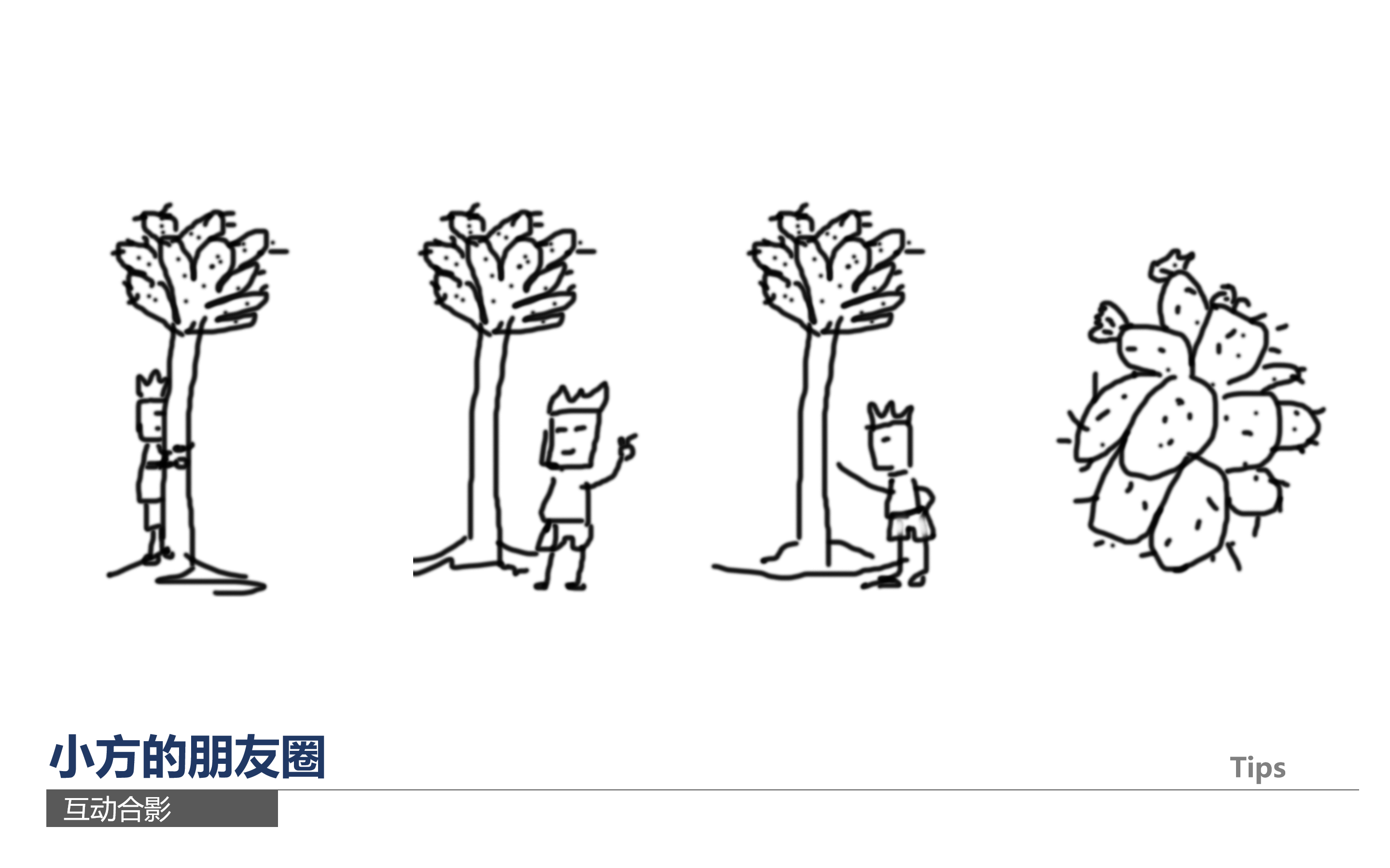 Design，originality，Bracket，cactus，