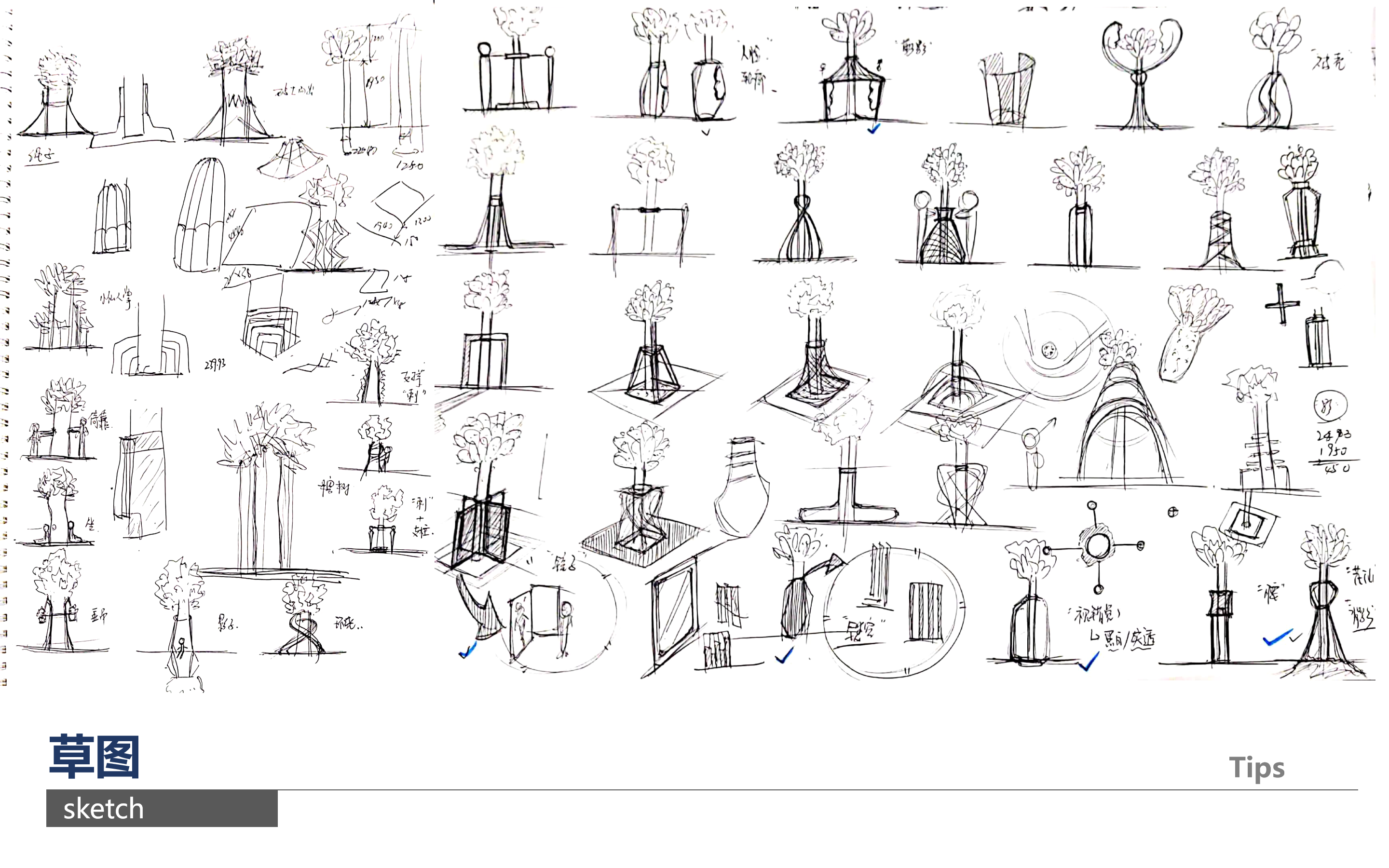 Design，originality，Bracket，cactus，