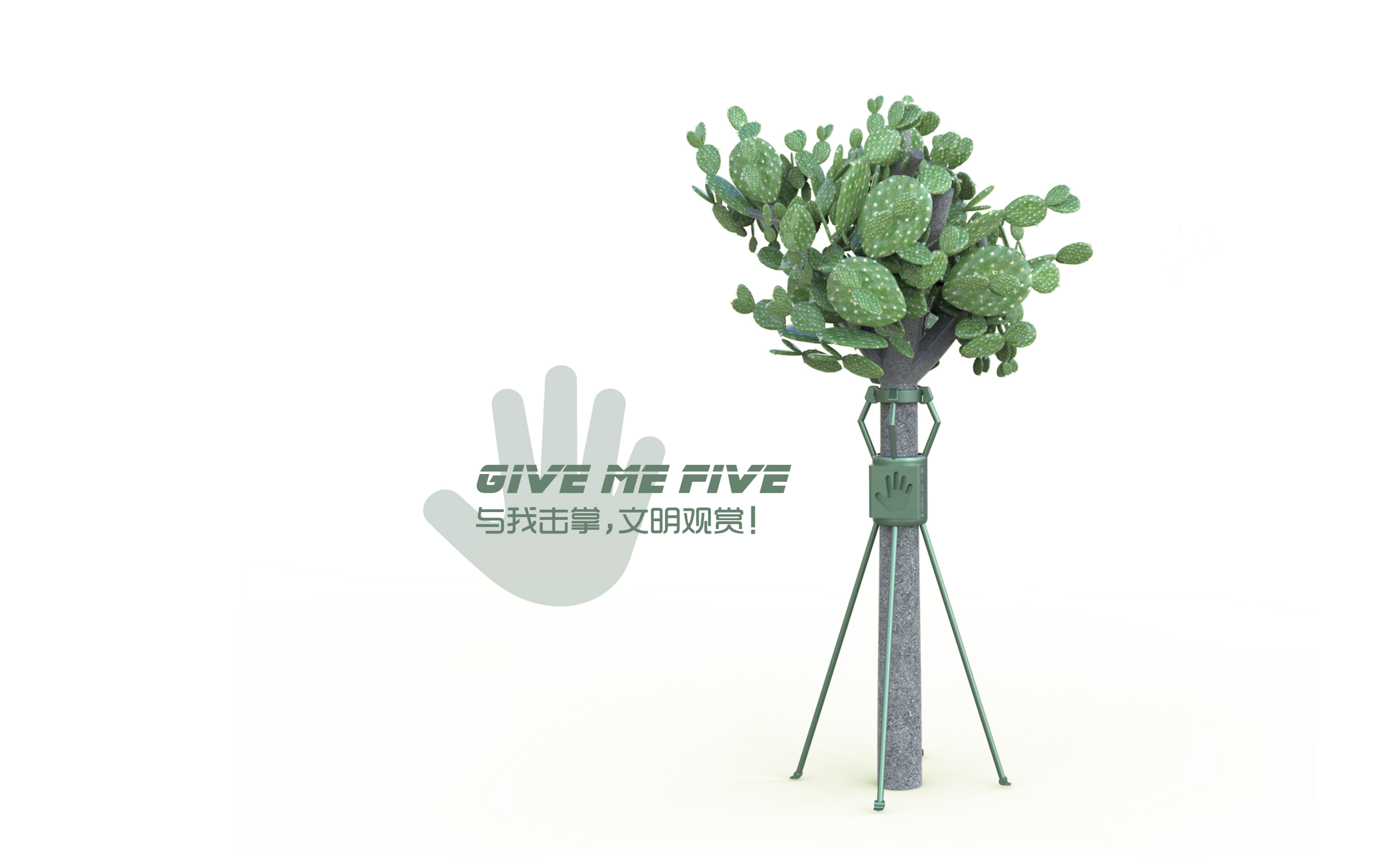 Design，originality，Bracket，cactus，