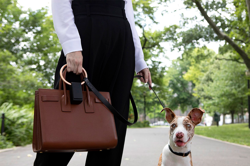 delicate，Simplicity，fashion，Pet accessories，