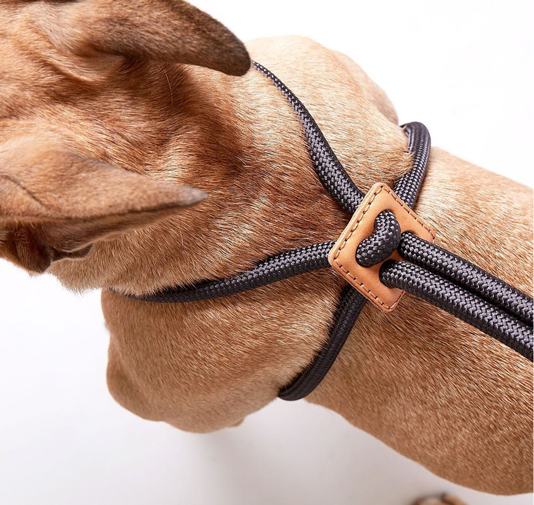 delicate，Simplicity，fashion，Pet accessories，
