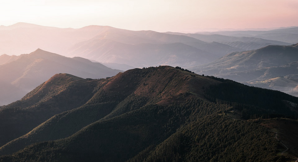 stick holder，Blooming island，smell，Incense burner，Aromatherapy，