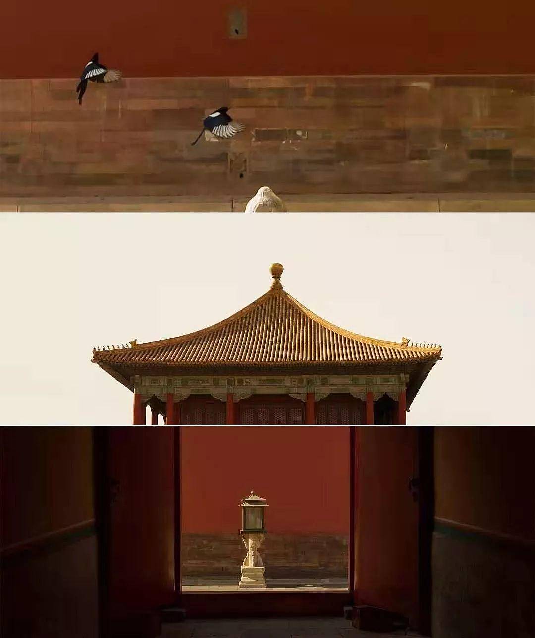故宫又“上新了”！这次是知识的味道，真香！ - 普象网