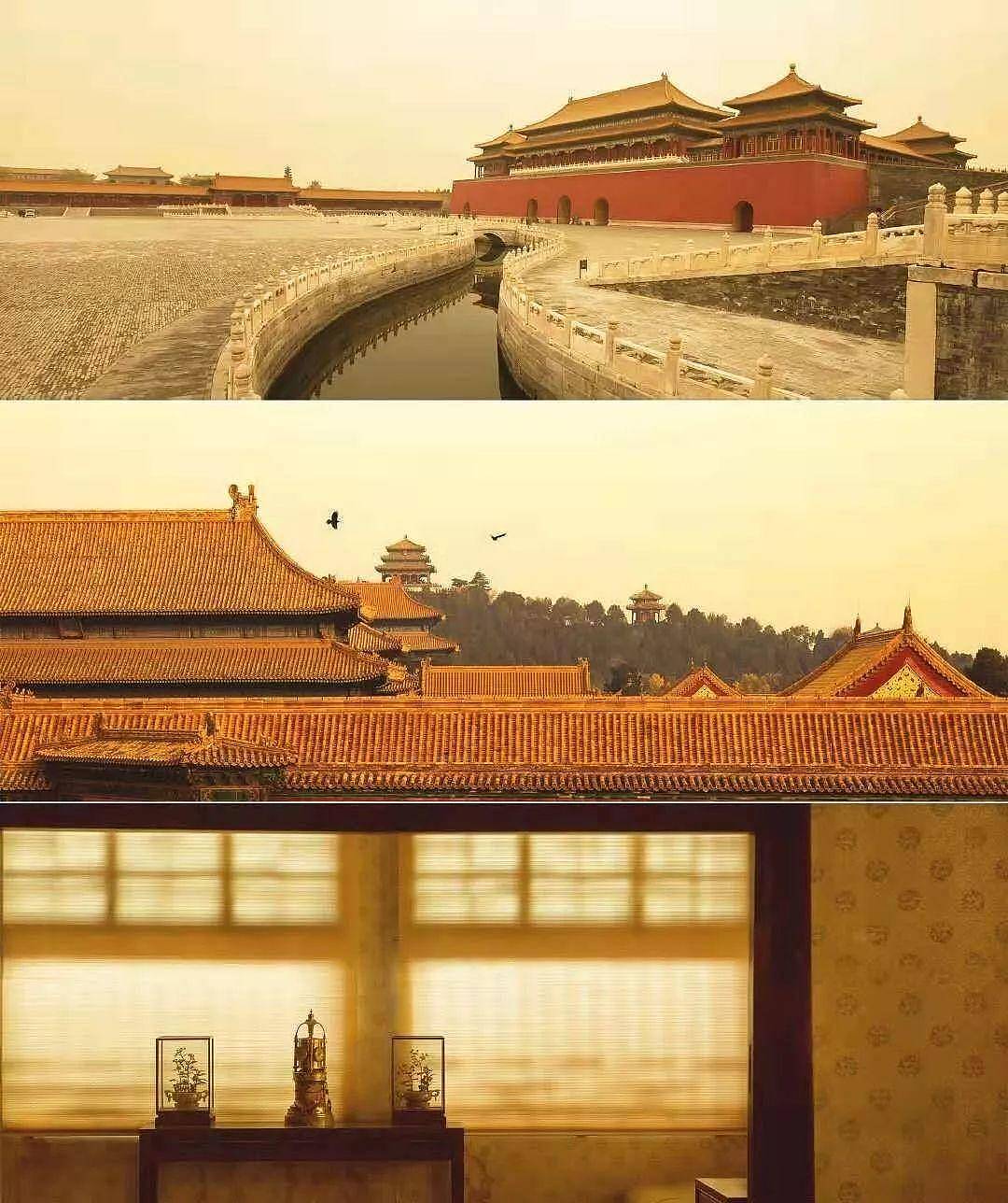 故宫又“上新了”！这次是知识的味道，真香！ - 普象网