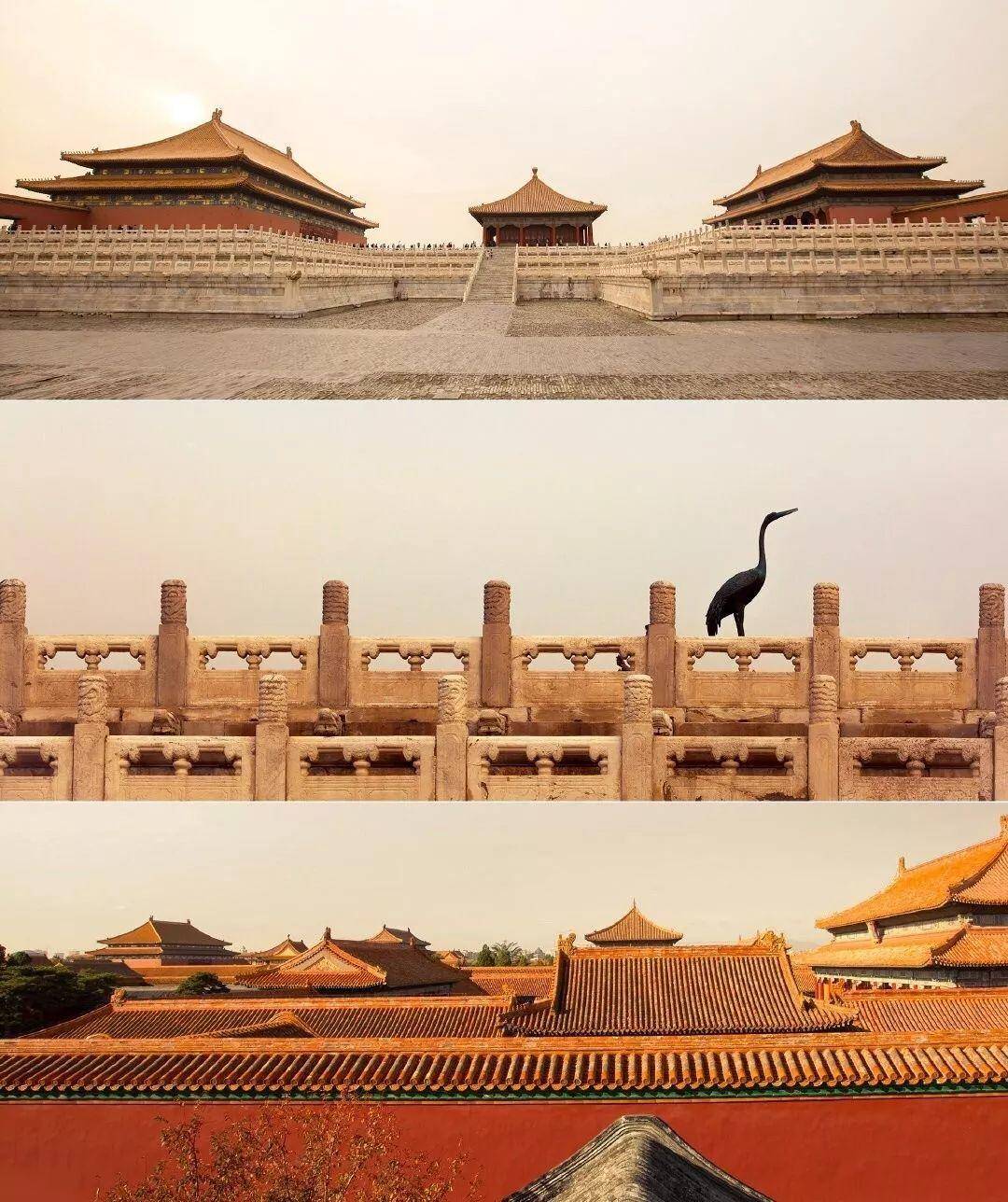 故宫又“上新了”！这次是知识的味道，真香！ - 普象网