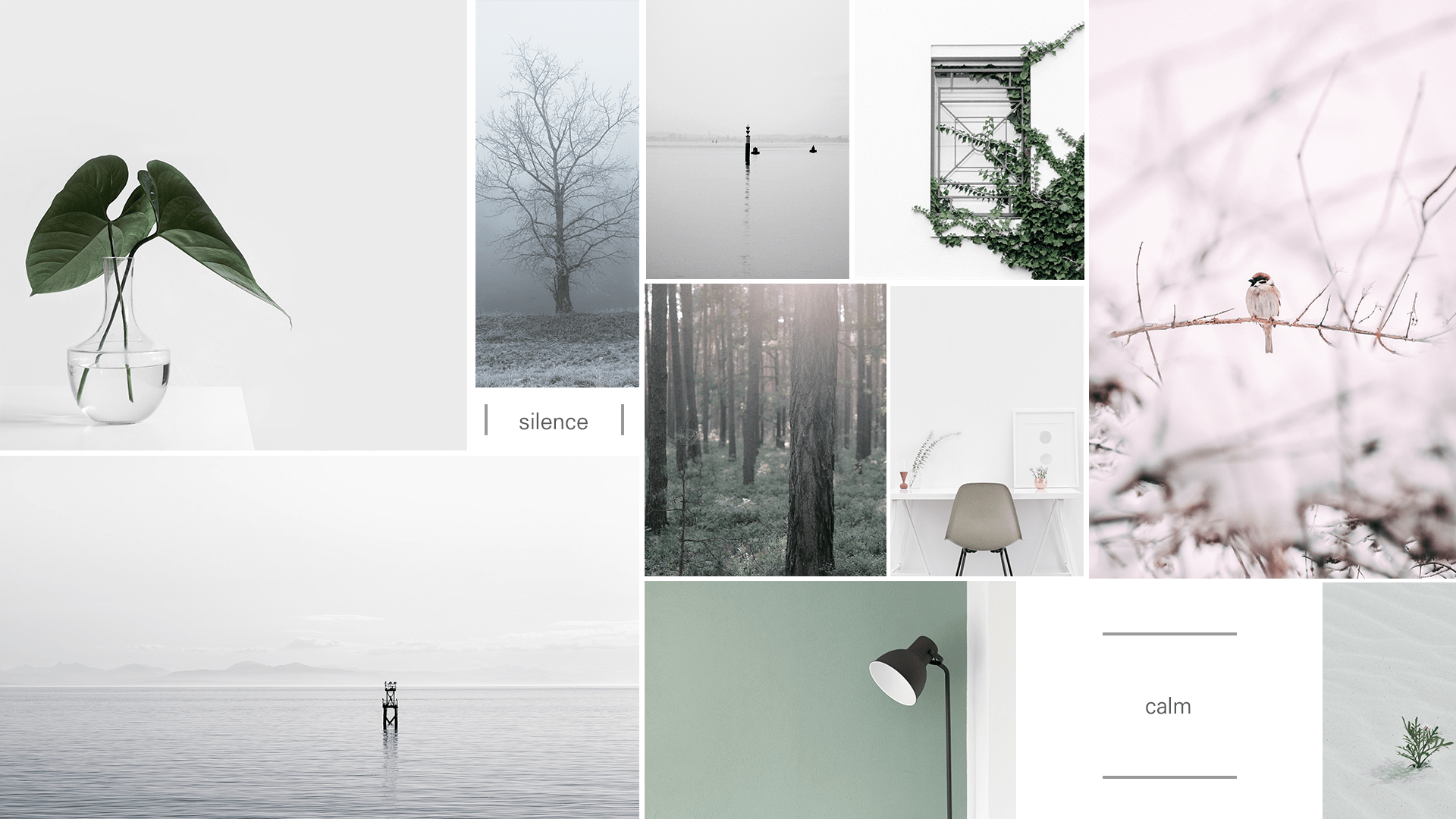 industrial design，Electric steamer，rice cooker，Kitchen appliances multi stove，The 4th World Electronics award 2017，