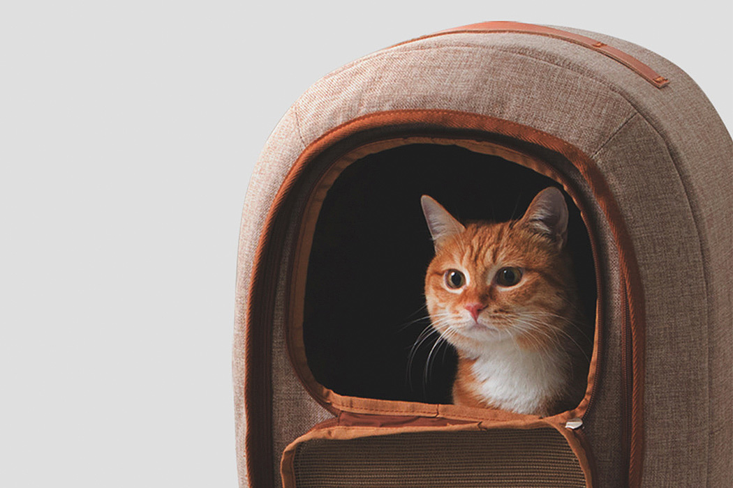 cat owner，Cat cat，knapsack，