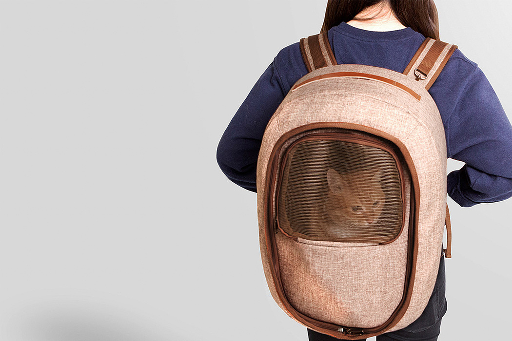 cat owner，Cat cat，knapsack，