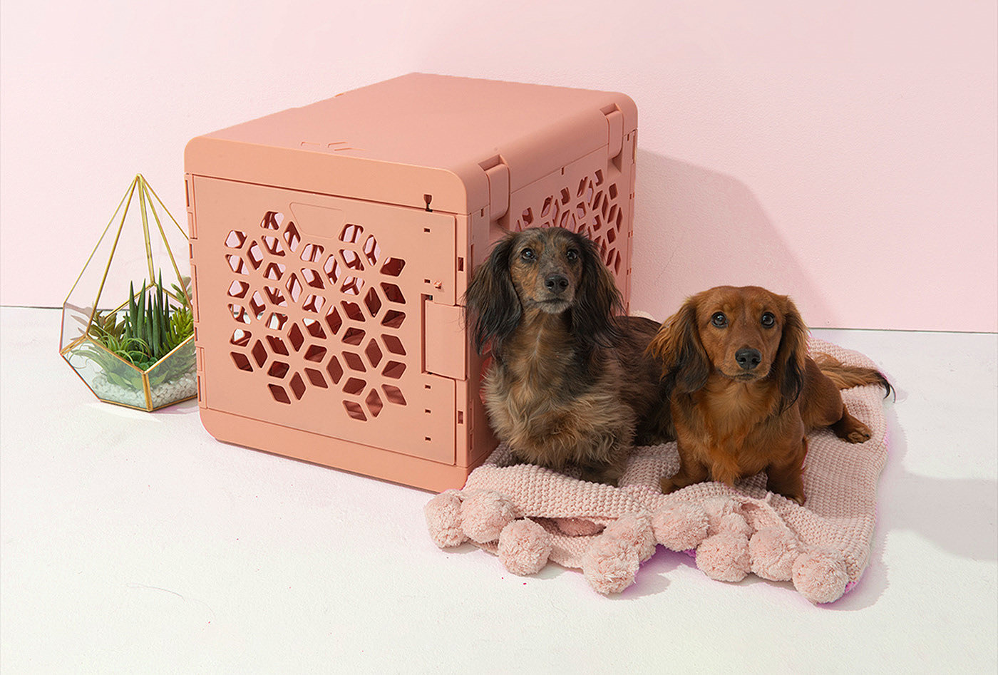 KindTail，PAWD ®，kennel，fold，
