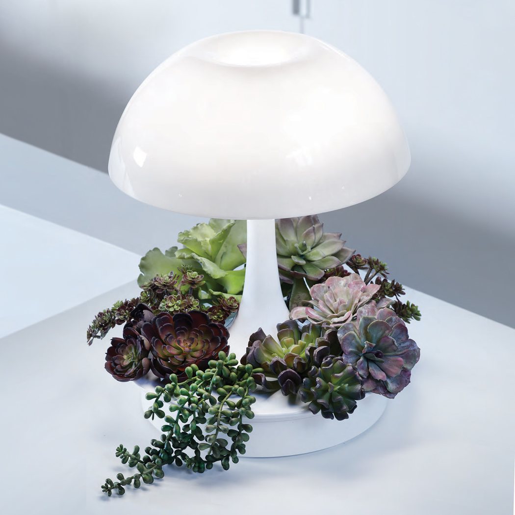 Home Furnishing，lamp，Desk lamp，Botany，Ornaments，