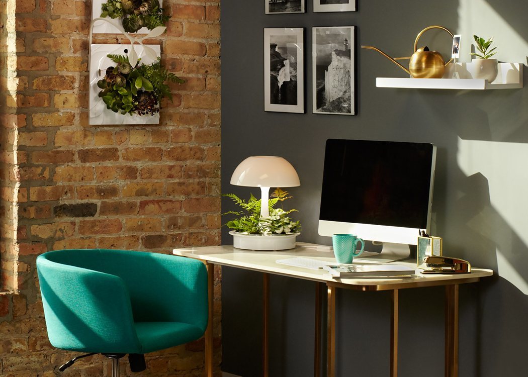 Home Furnishing，lamp，Desk lamp，Botany，Ornaments，