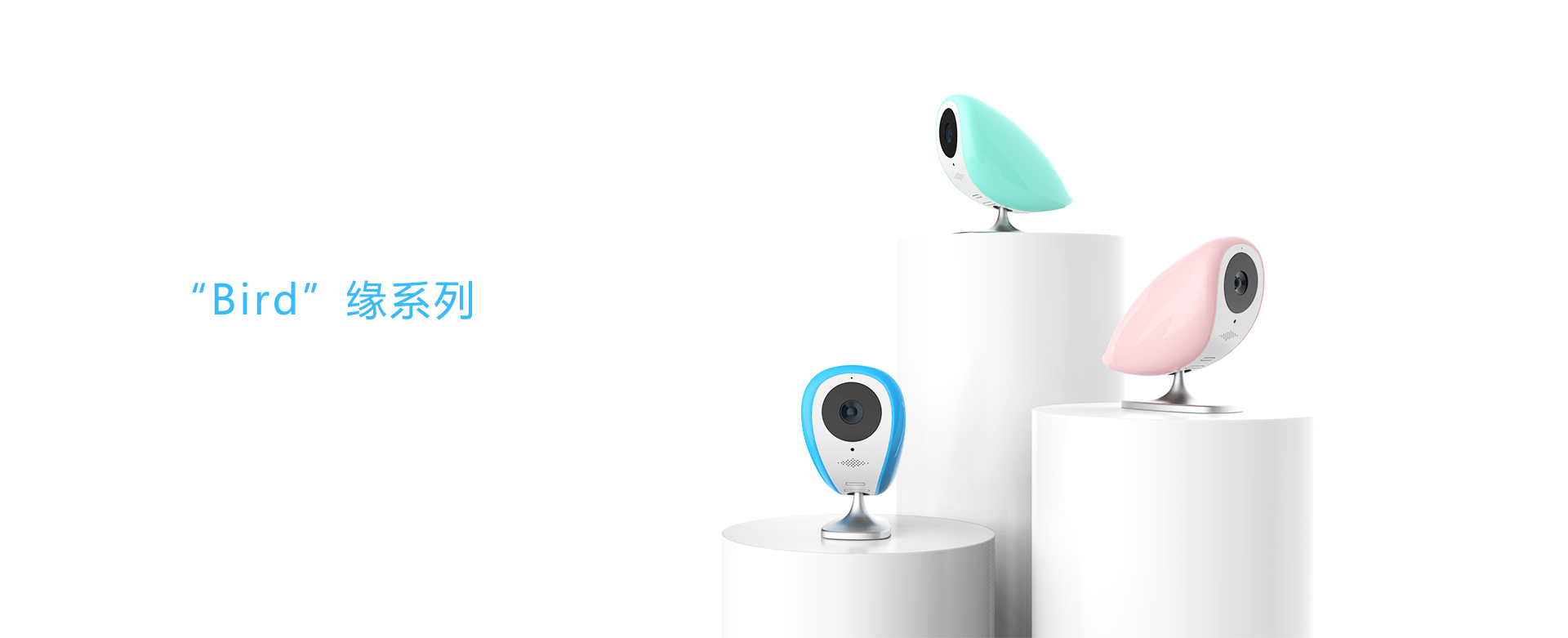 bird，bionics，camera，