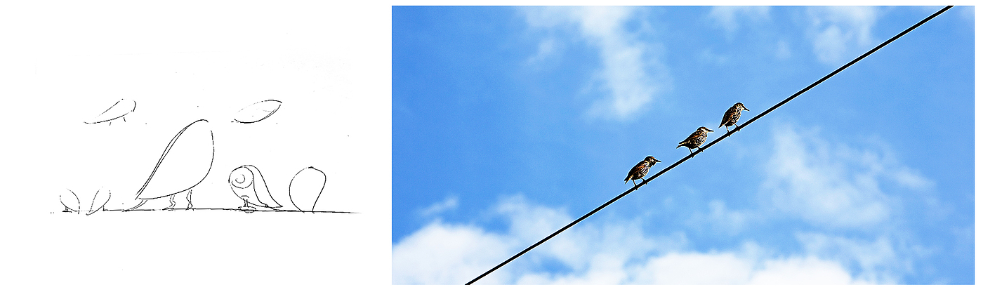 bird，bionics，camera，