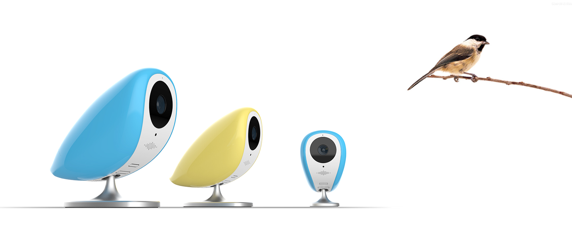 bird，bionics，camera，