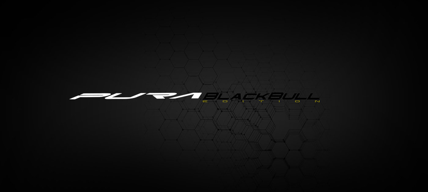 Sports car，electric vehicle，Pure BlackBull，Lamborghini，Lamborghini，