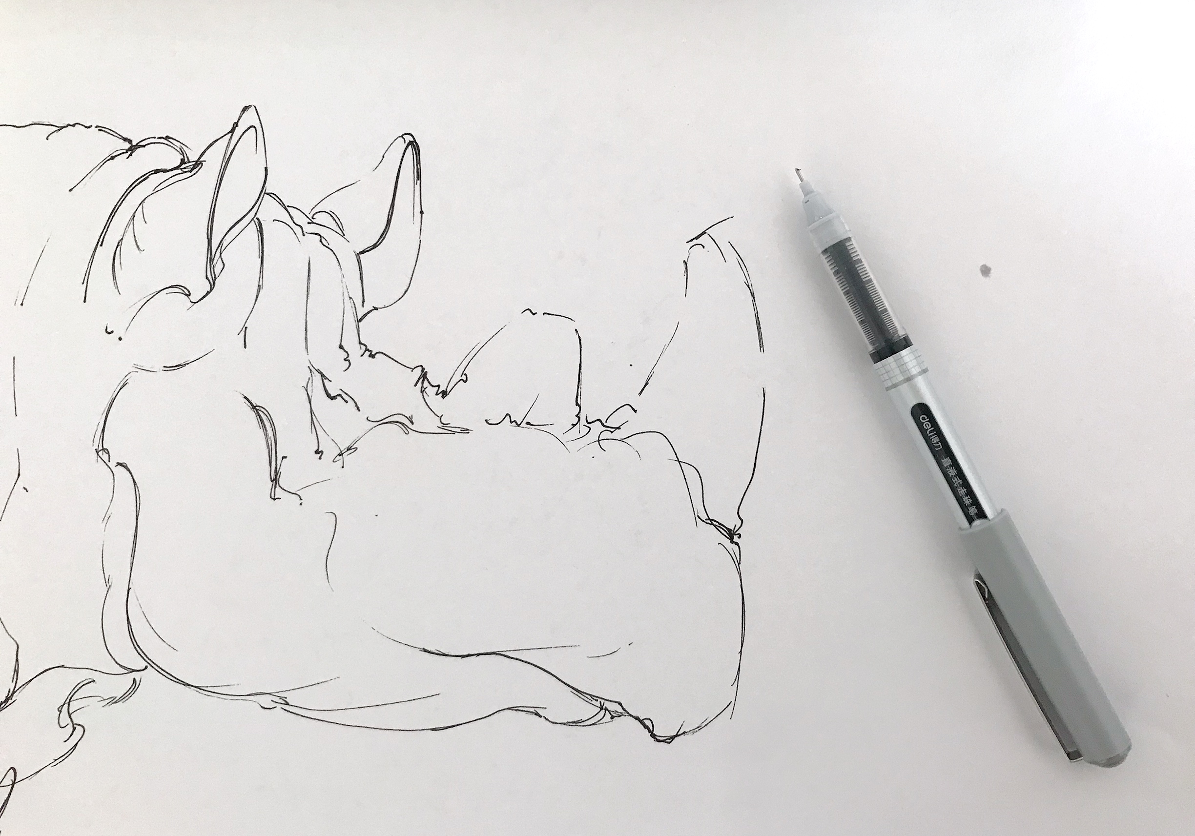 USB, adapter, audio device, live broadcast，