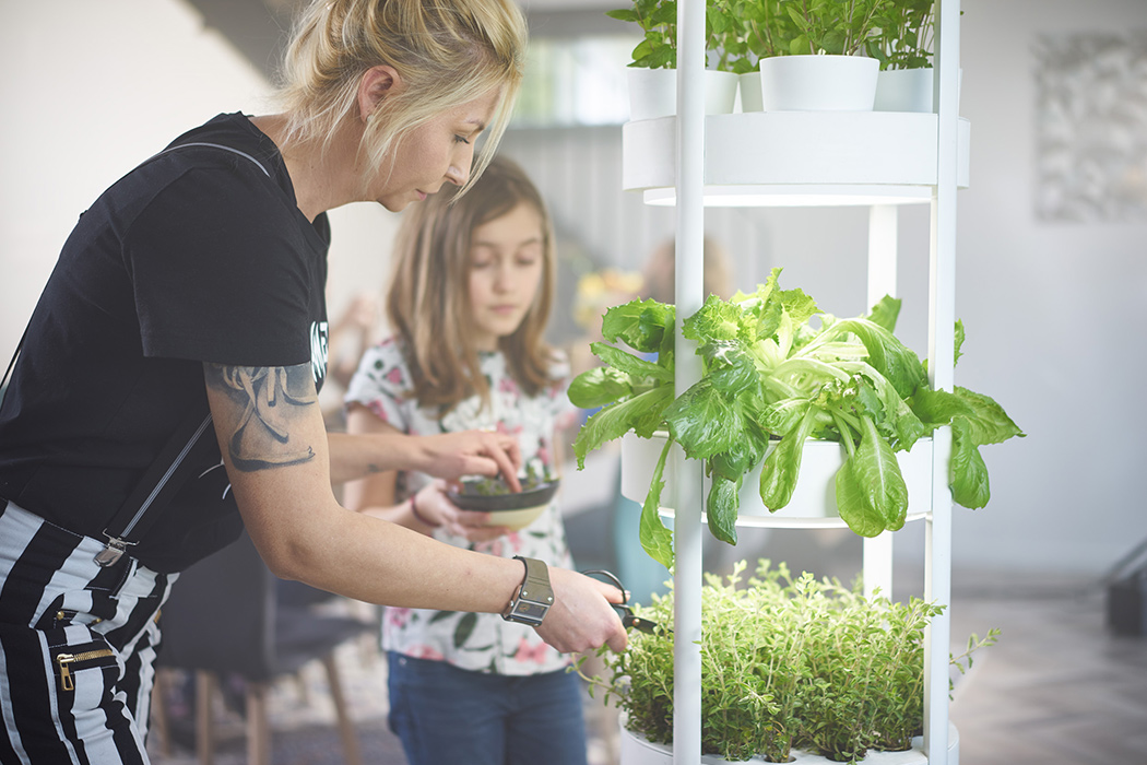 garden，fully automatic，Botany，