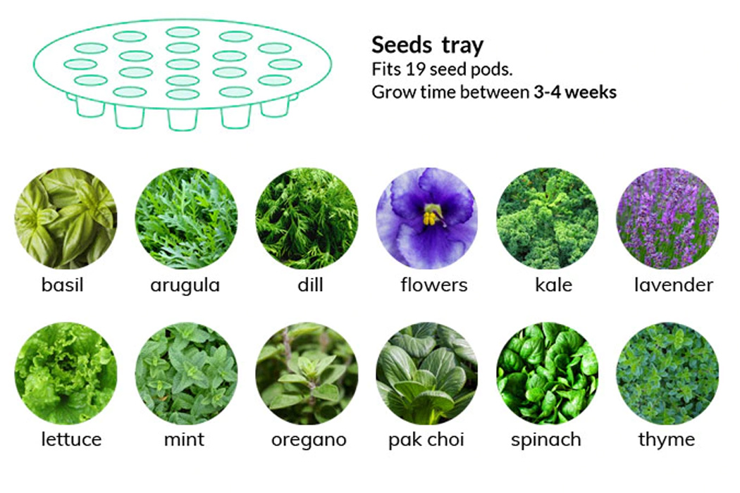 garden，fully automatic，Botany，