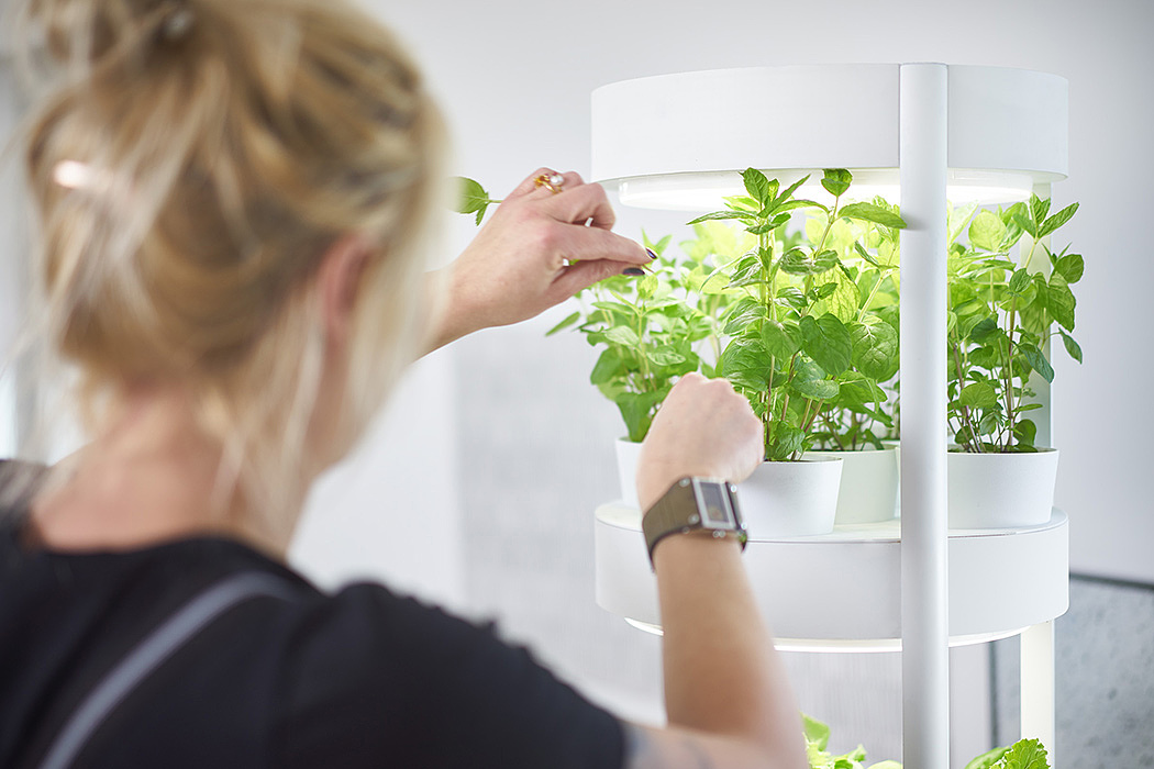 garden，fully automatic，Botany，