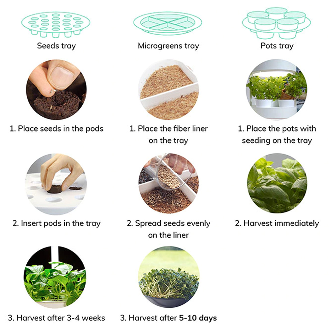 garden，fully automatic，Botany，