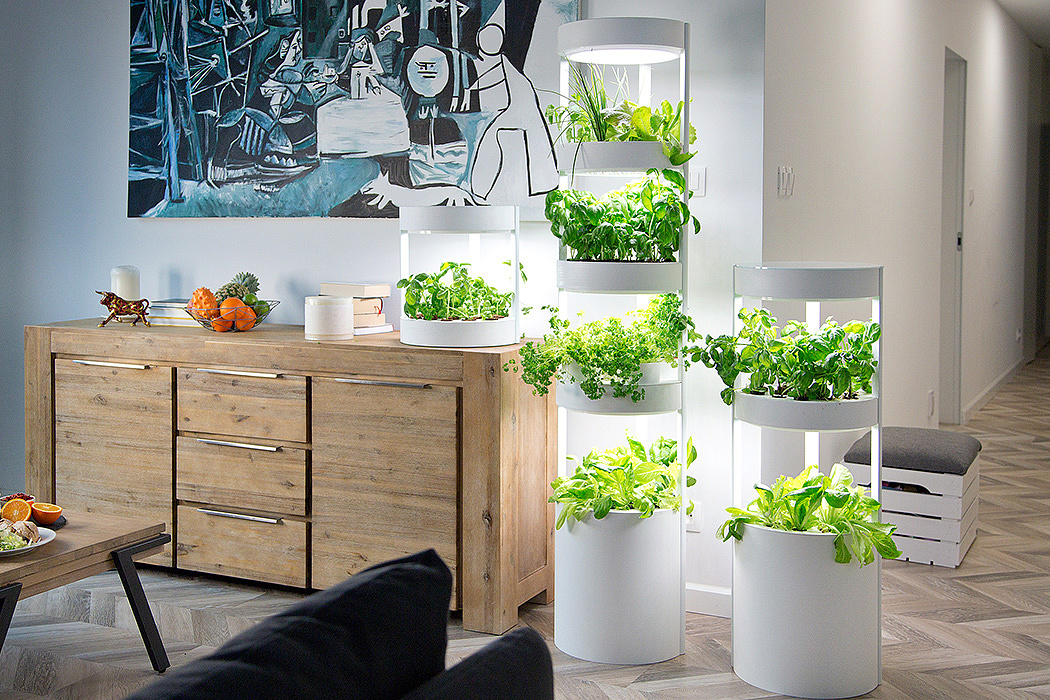 garden，fully automatic，Botany，