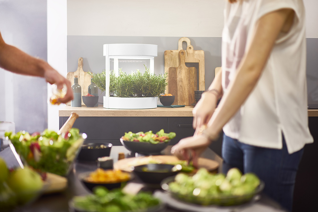 garden，fully automatic，Botany，