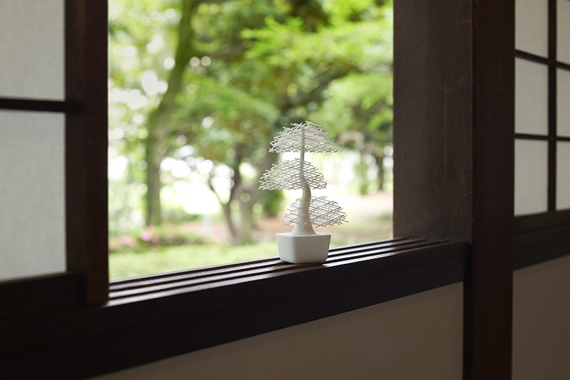 Pot picking，No Entry，Reprint，two thousand and nineteen，