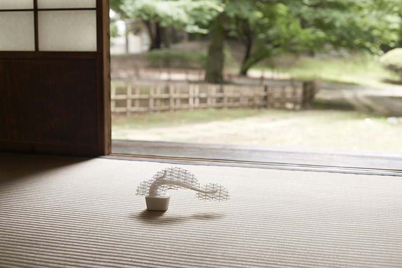 Pot picking，No Entry，Reprint，two thousand and nineteen，