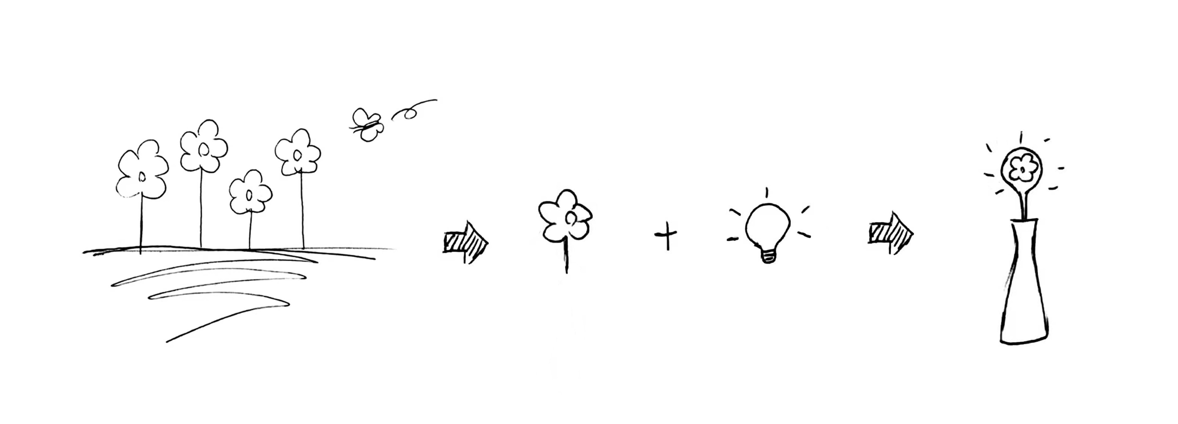 lamp，flower，Ornaments，