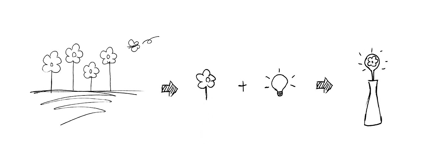 lamp，flower，Ornaments，