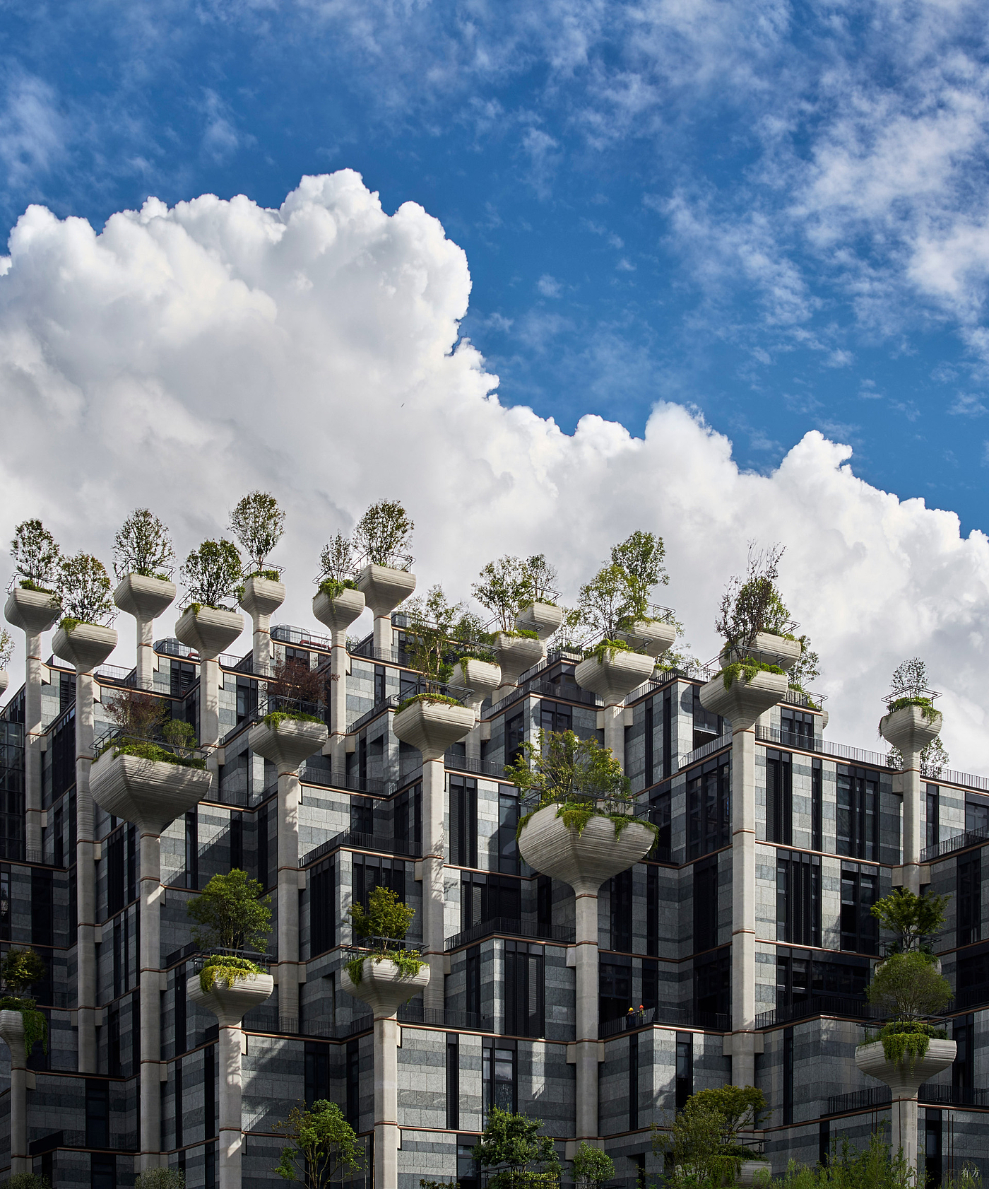 Sky garden，