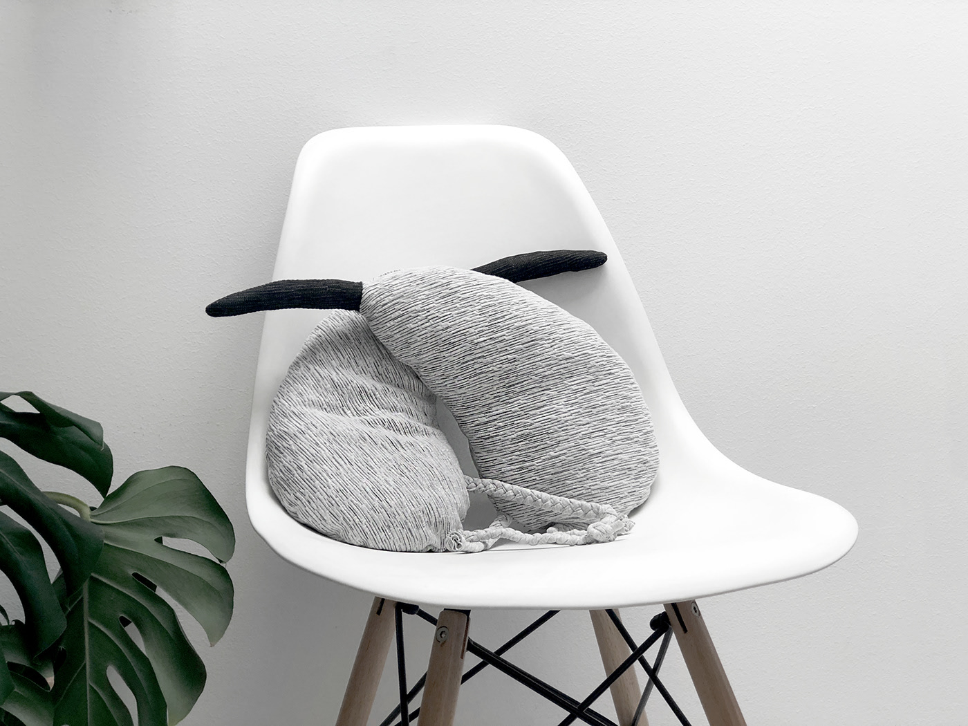 marine organism，On the verge of，Reject plastic，Toys，