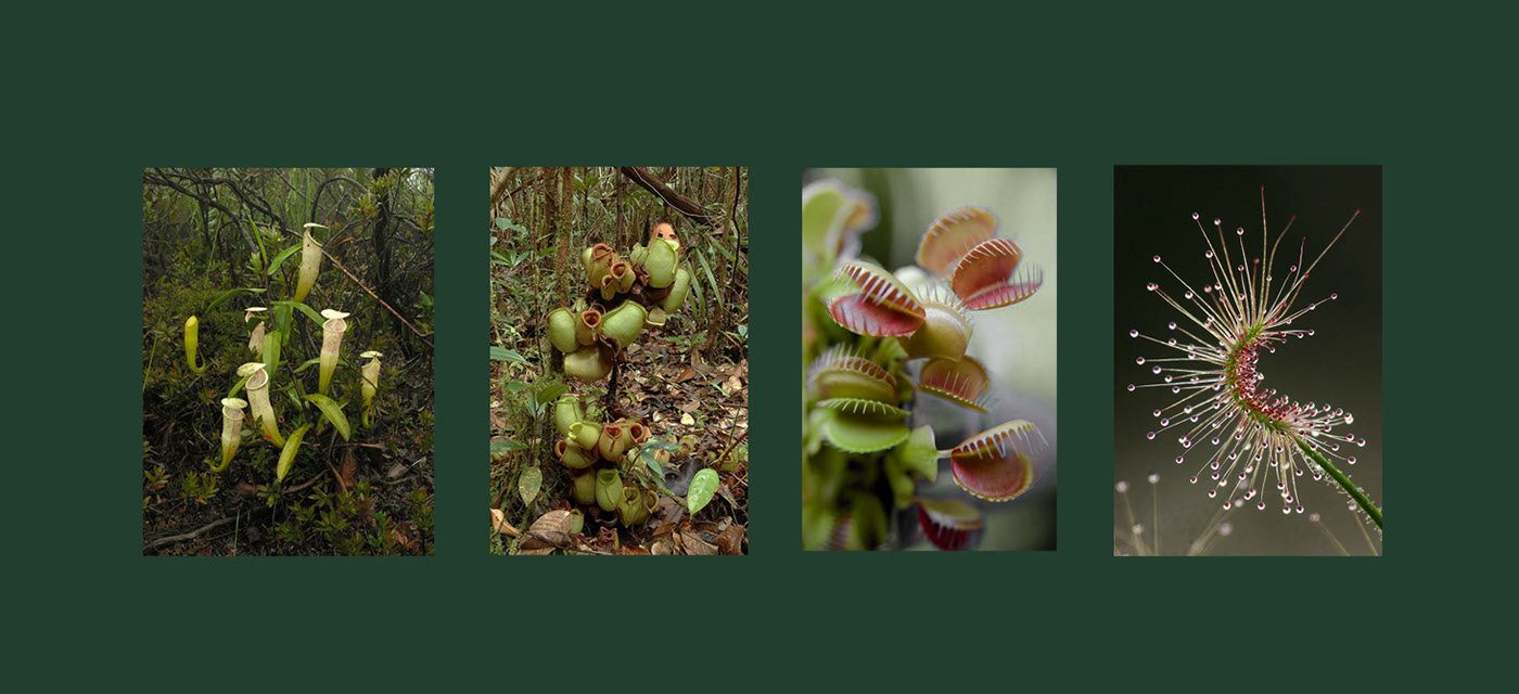 sneakers，Running shoes，Outdoor products，Sports equipment，