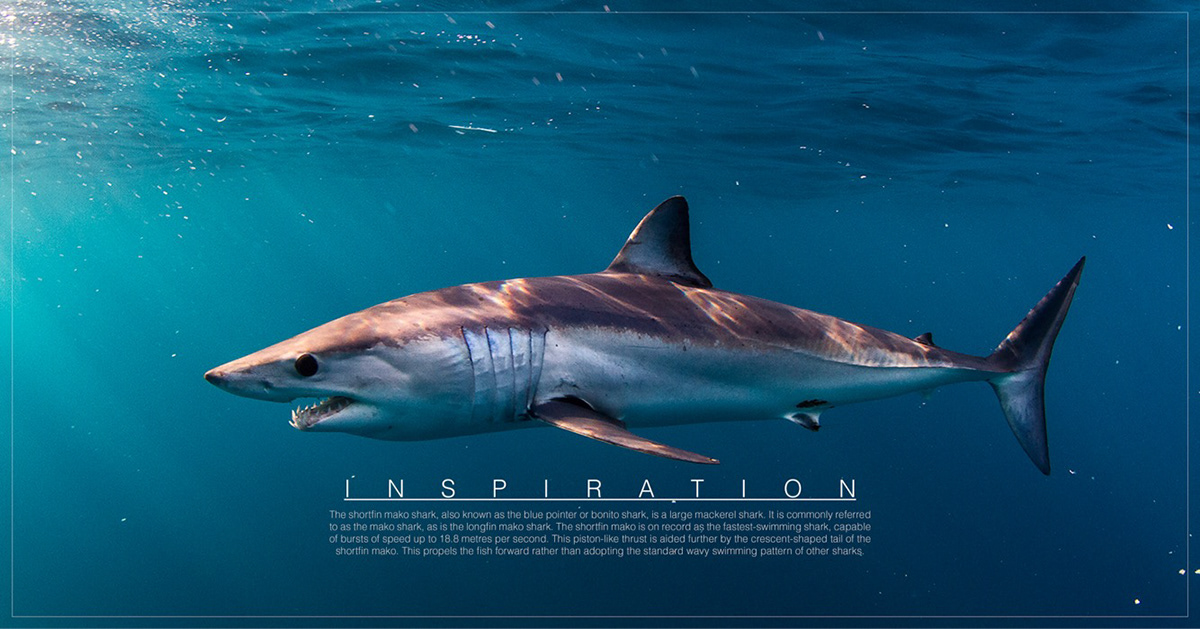 bionics，yacht，Mori，