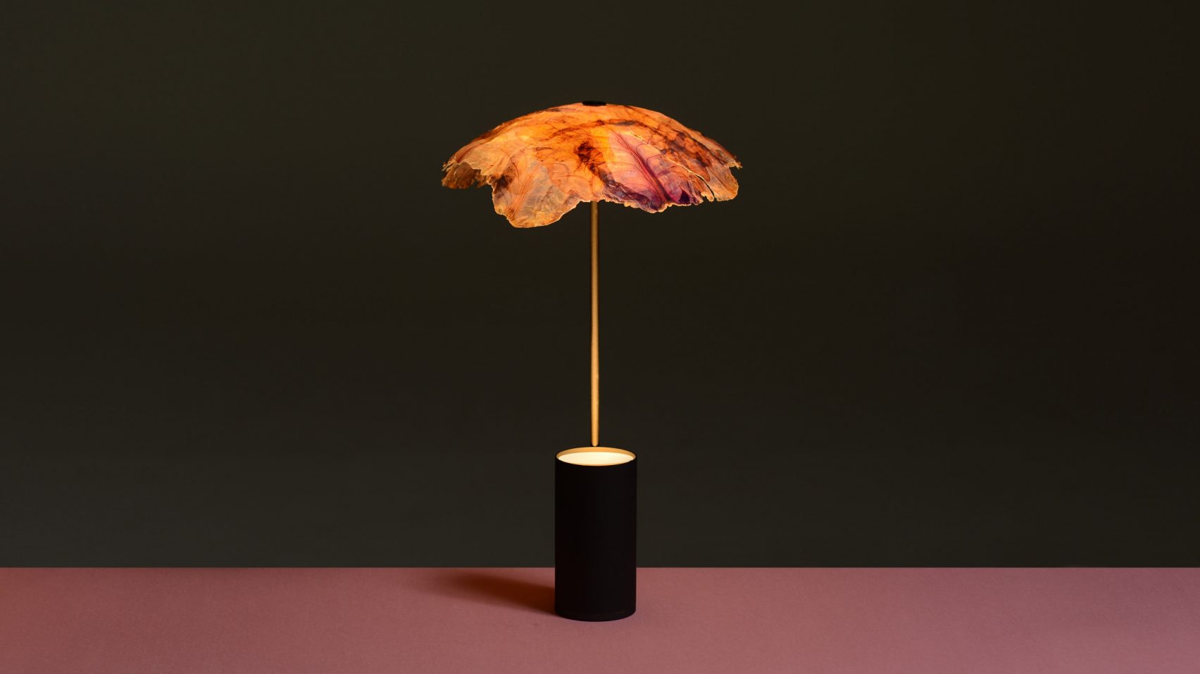 Cabbage，Desk lamp，Vegetable lamp，Material Science，Lampshade，