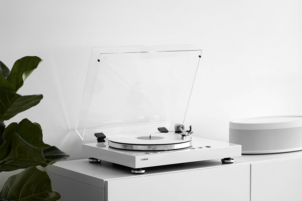 Vinyl record，sound，Vinyl 500，