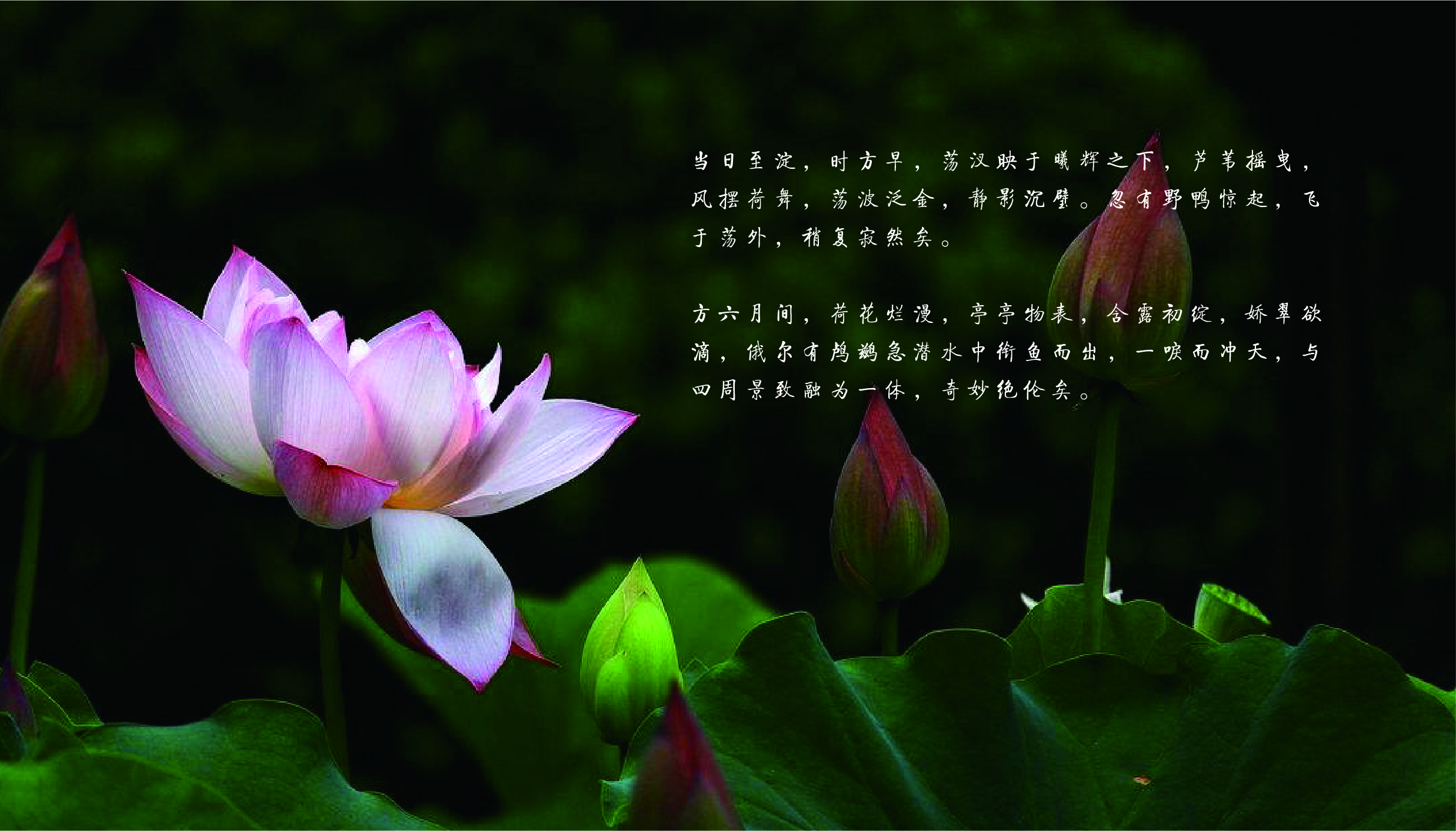 Fenghe cultural innovation，Cultural creation，Hebei Wenchuang，Heli，Hebei Wenchuang，Baiyangdian，