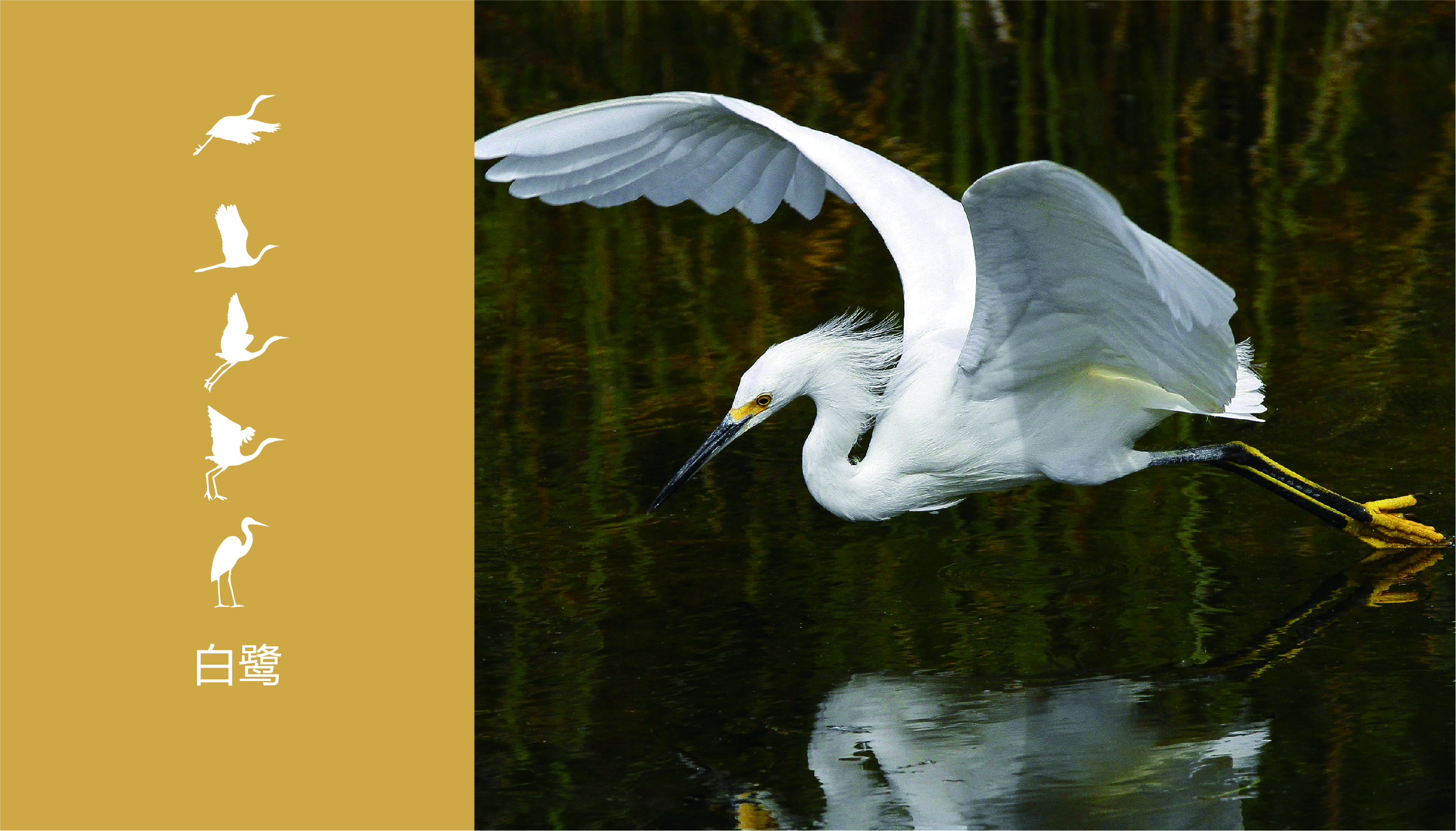 Fenghe cultural innovation，Cultural creation，Hebei Wenchuang，Heli，Hebei Wenchuang，Baiyangdian，