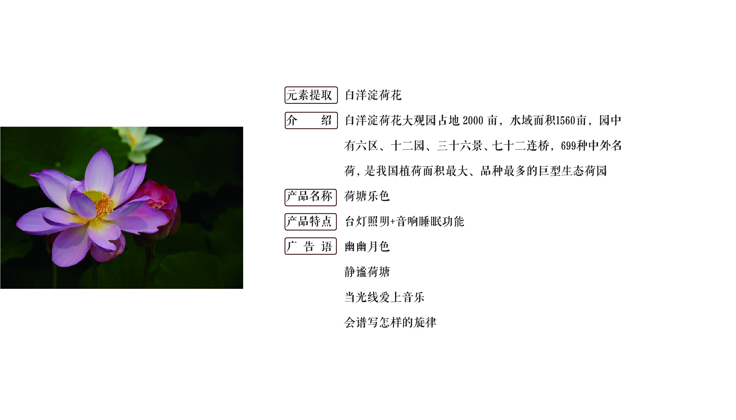 Fenghe cultural innovation，Cultural creation，Hebei Wenchuang，Heli，Baiyangdian，