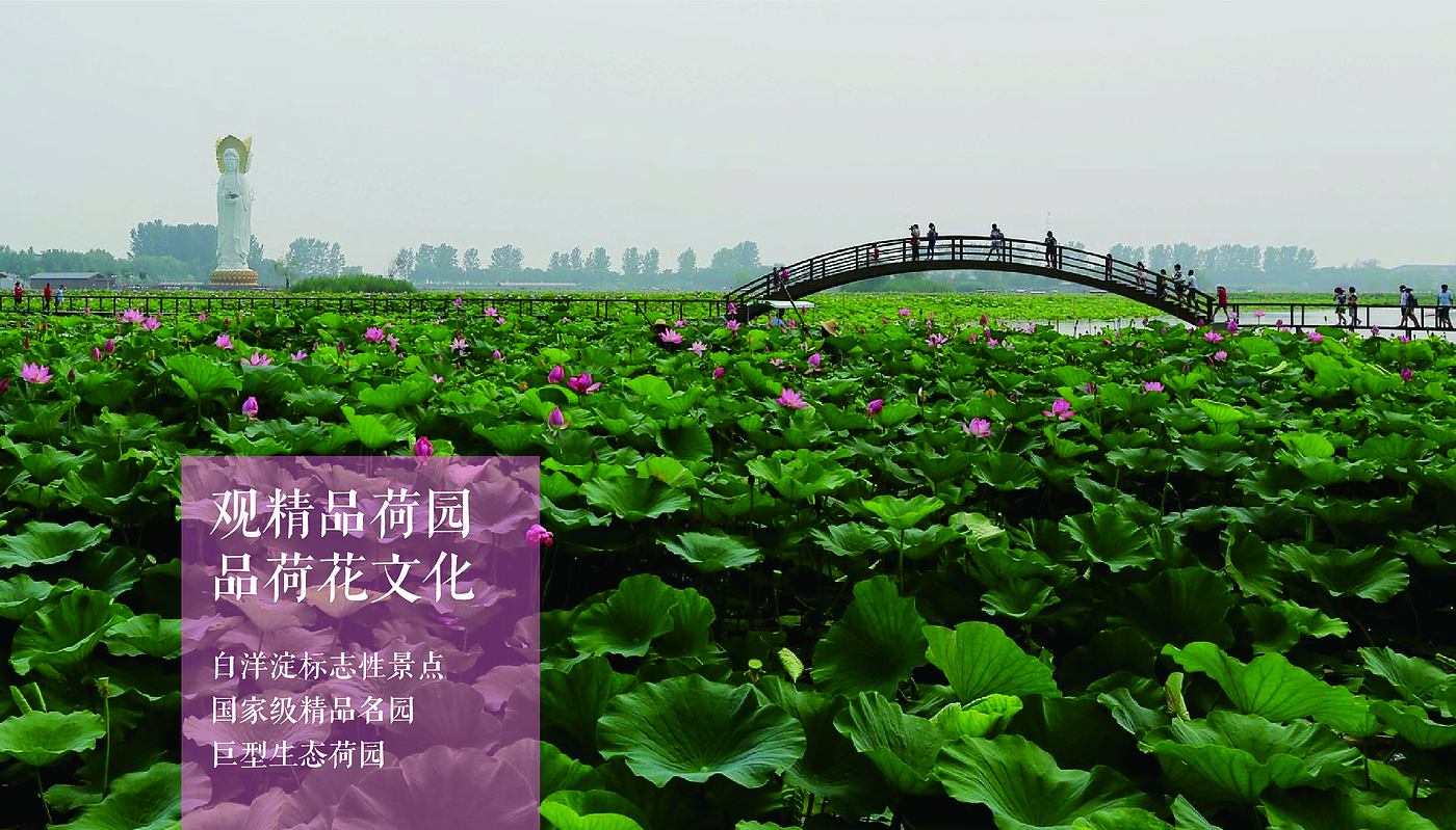 Fenghe cultural innovation，Cultural creation，Hebei Wenchuang，Heli，Baiyangdian，