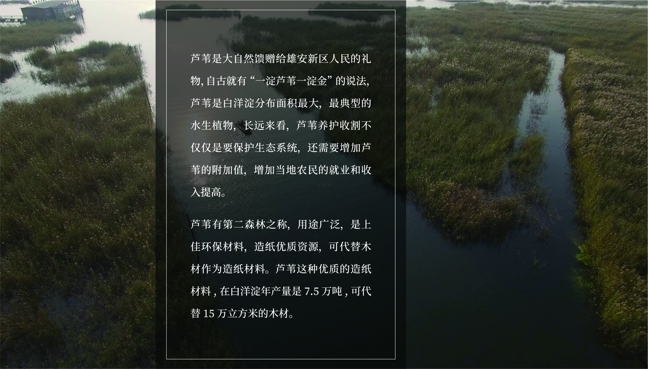 Fenghe cultural innovation，Cultural creation，Hebei Wenchuang，Heli，Baiyangdian，