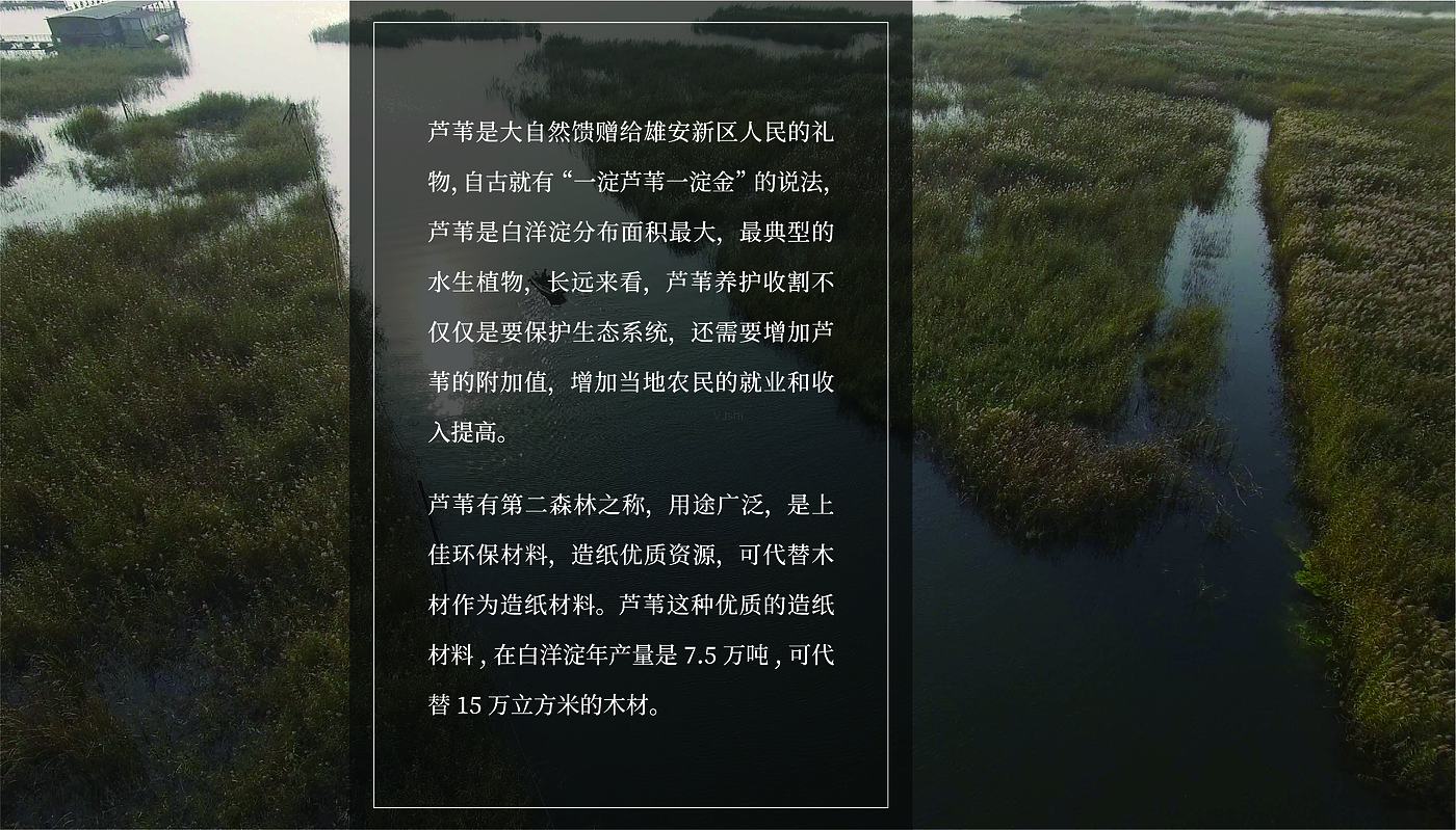 Fenghe cultural innovation，Cultural creation，Hebei Wenchuang，Heli，Baiyangdian，