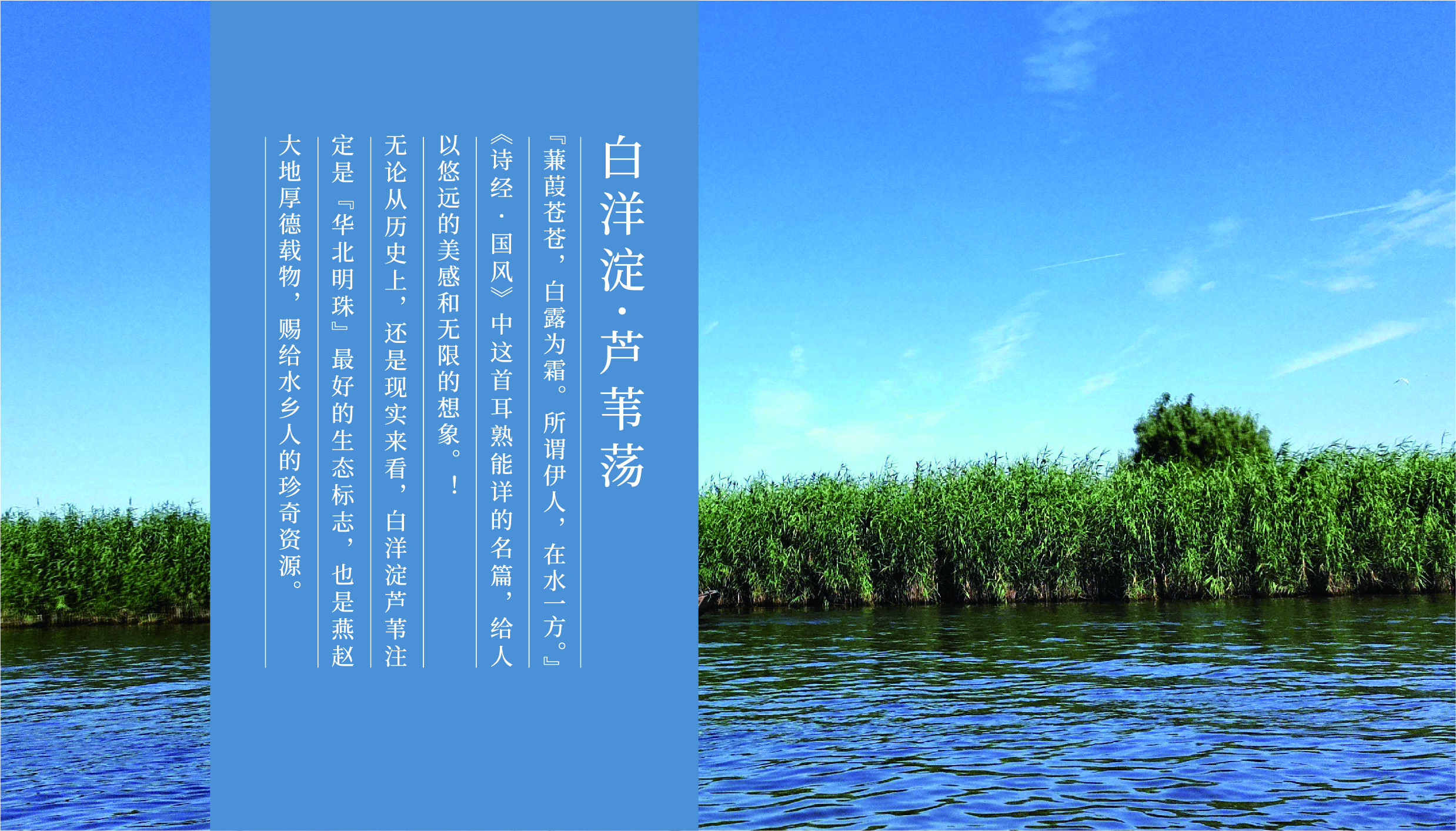 Fenghe cultural innovation，Cultural creation，Hebei Wenchuang，Heli，Baiyangdian，