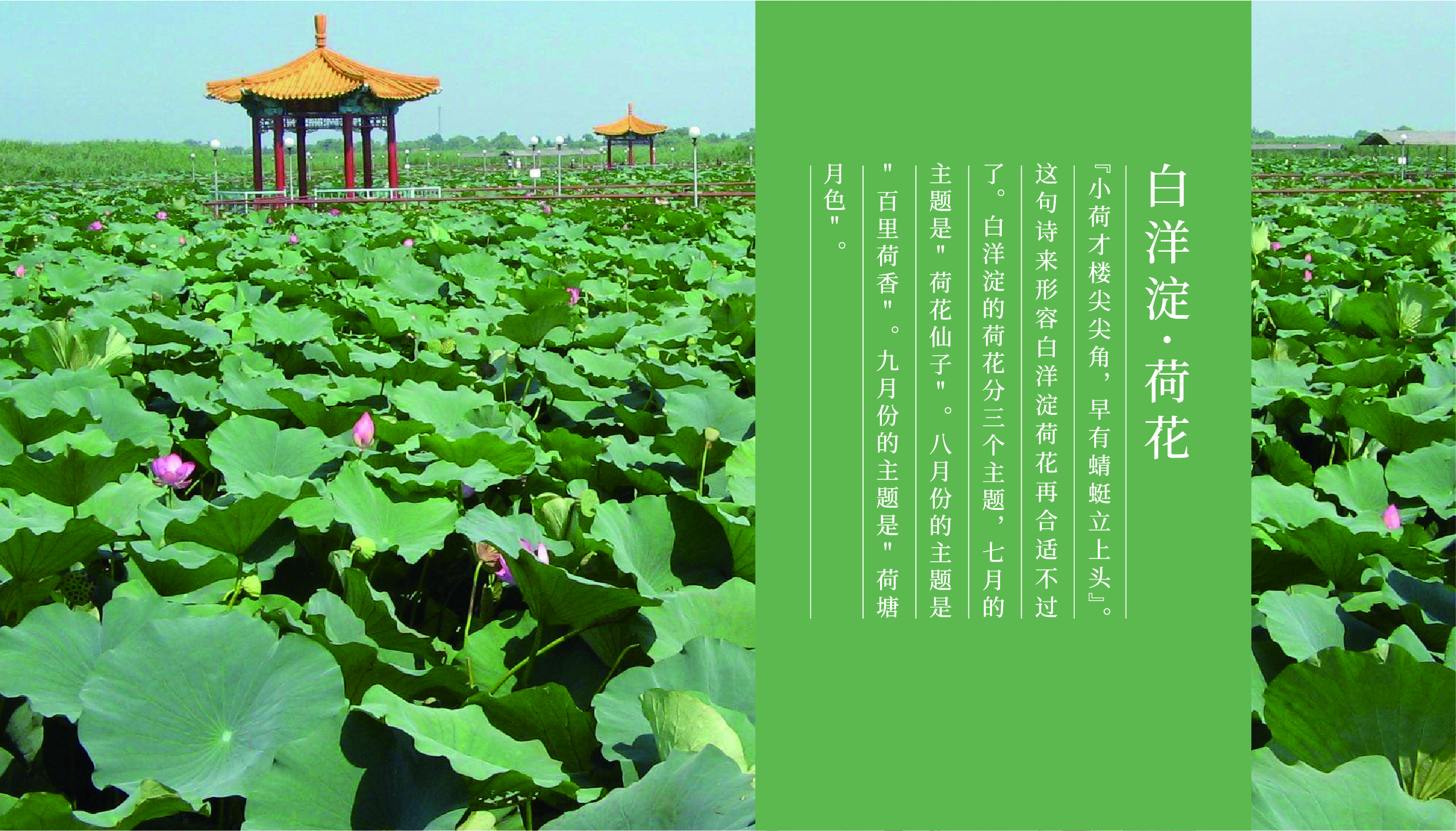 Fenghe cultural innovation，Cultural creation，Hebei Wenchuang，Heli，Baiyangdian，